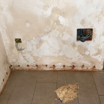 prima dopo risalita