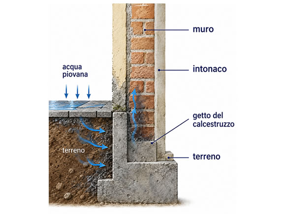 schema